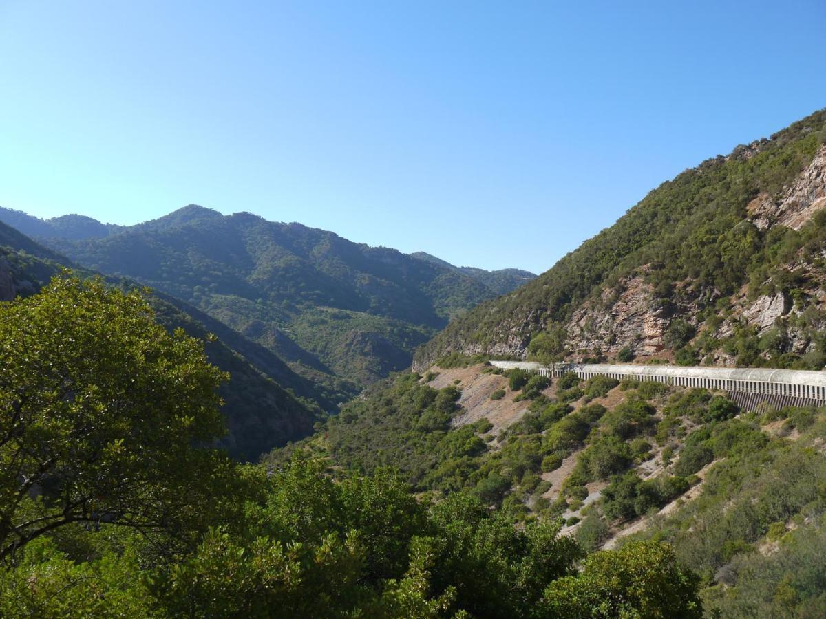 Guadiaro El Colmenar